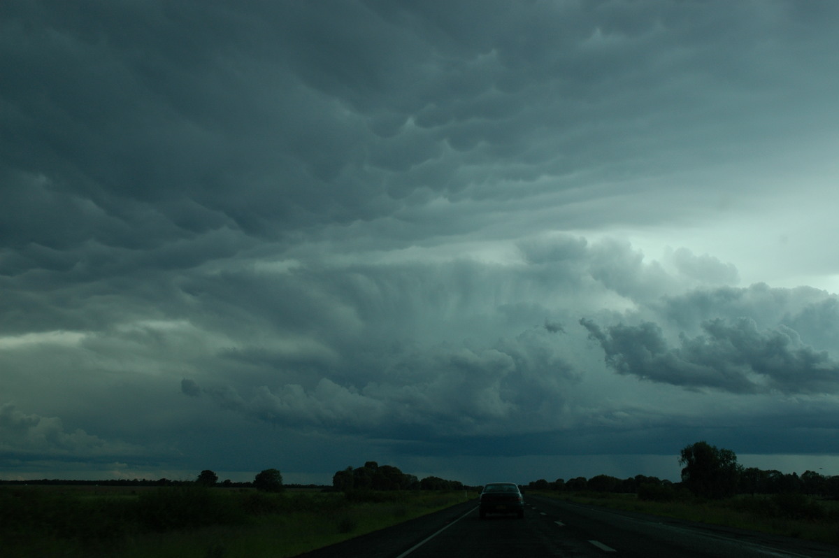 thunderstorm cumulonimbus_incus : near Moree, NSW   27 December 2004