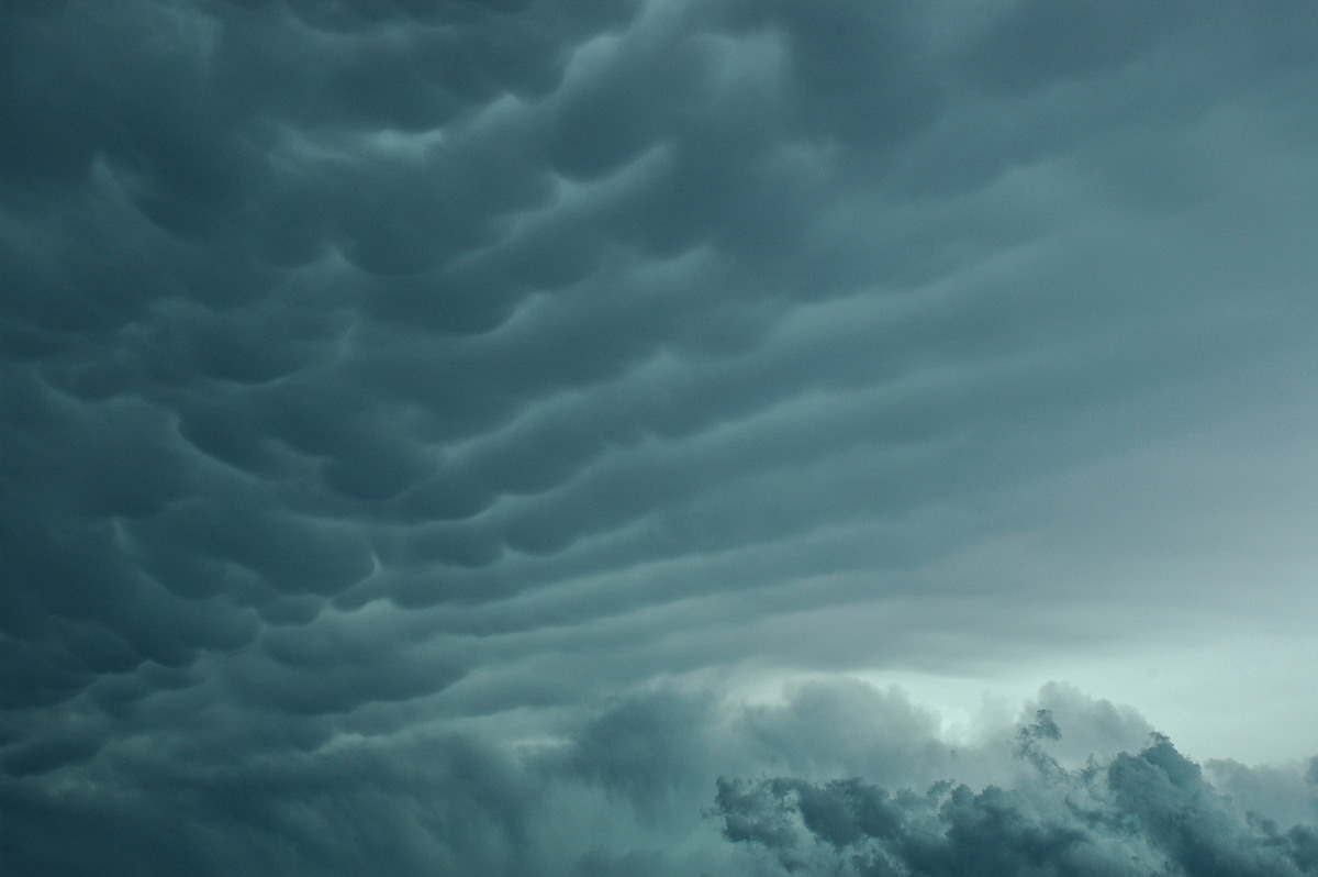 mammatus mammatus_cloud : near Moree, NSW   27 December 2004