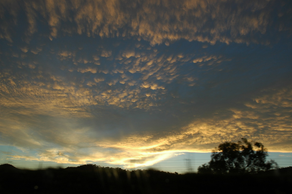 mammatus mammatus_cloud : Tenterfield, NSW   27 December 2004