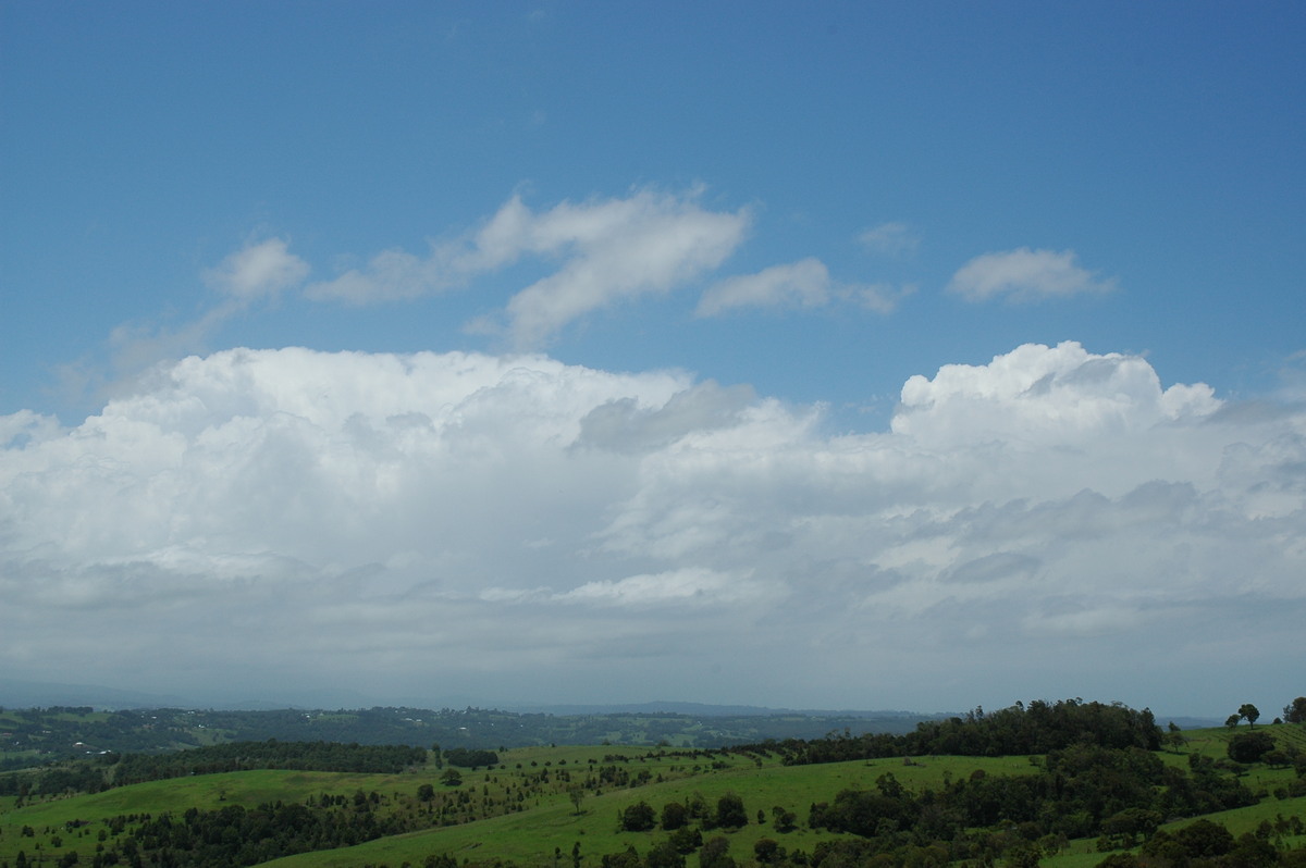 stratocumulus stratocumulus_cloud : McLeans Ridges, NSW   28 December 2004