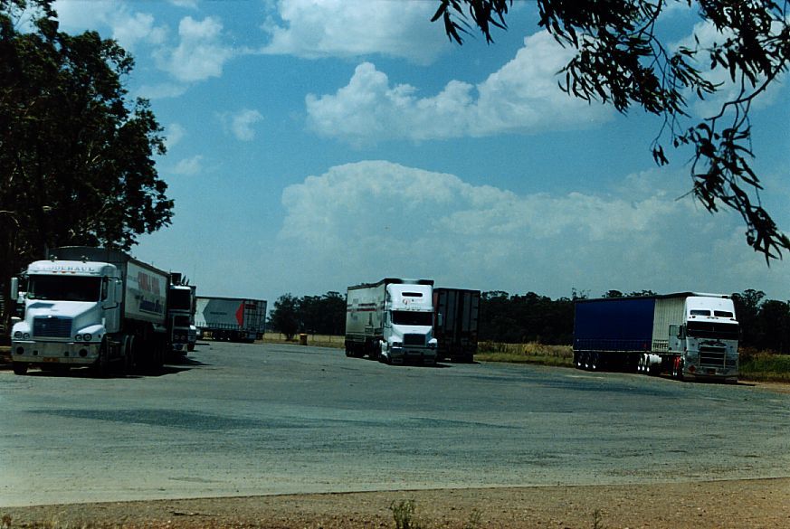 thunderstorm cumulonimbus_incus : West Wyalong, NSW   20 January 2005