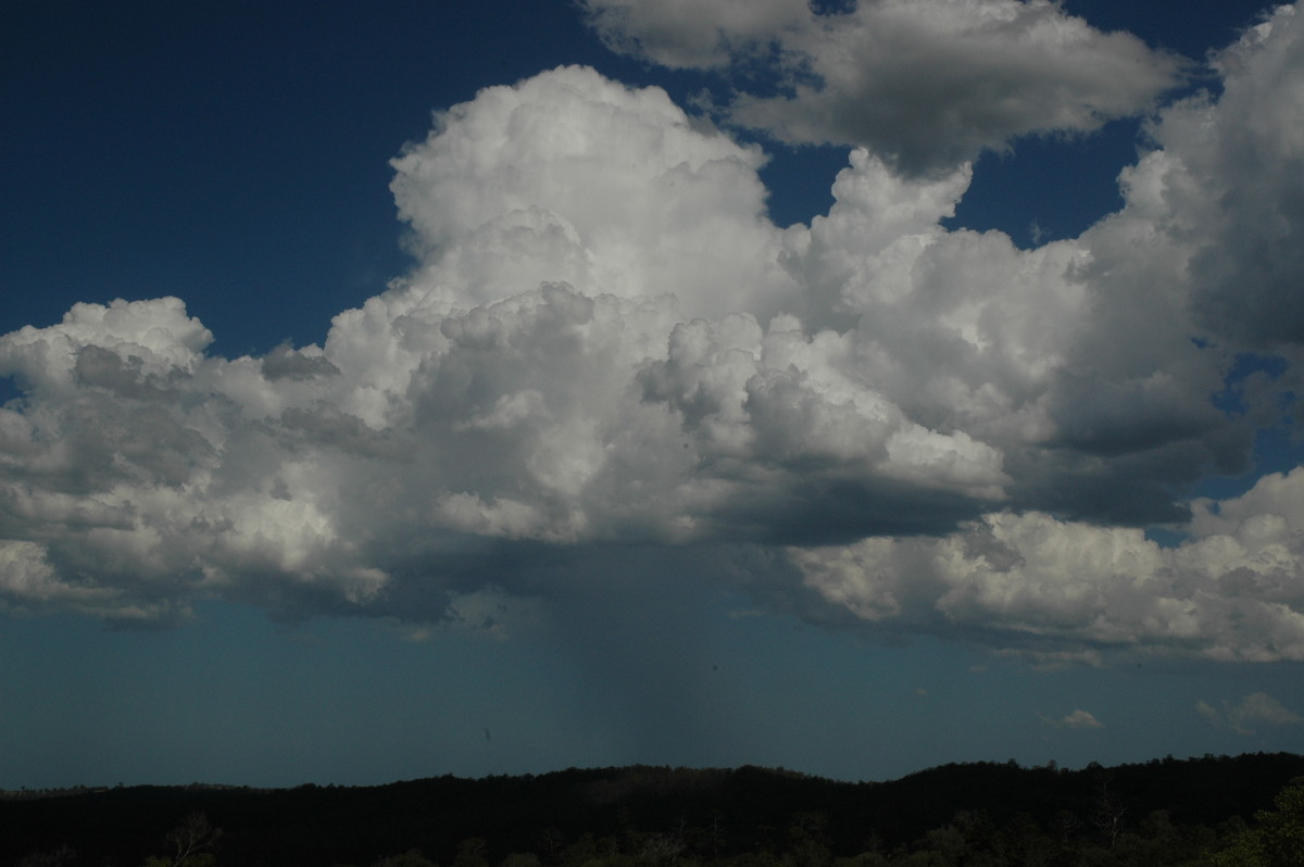 cumulus congestus : Tregeagle, NSW   21 January 2005