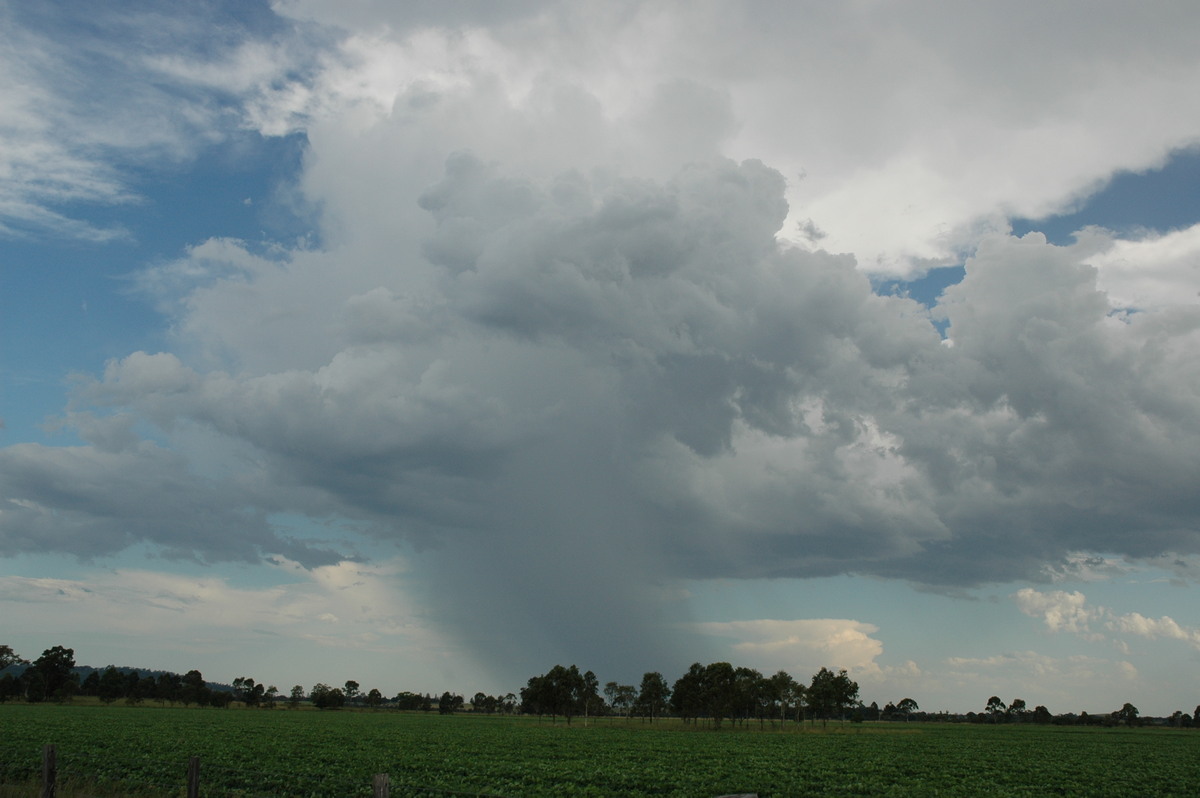 raincascade precipitation_cascade : N of Casino, NSW   21 January 2005