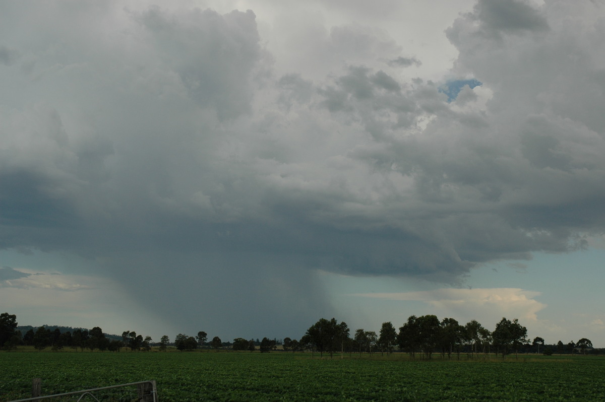 raincascade precipitation_cascade : N of Casino, NSW   21 January 2005