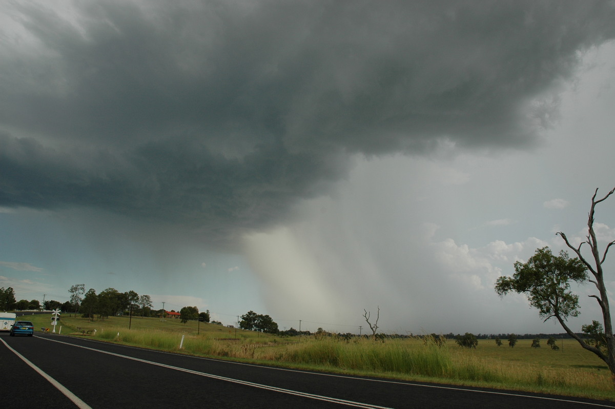 raincascade precipitation_cascade : Casino, NSW   21 January 2005