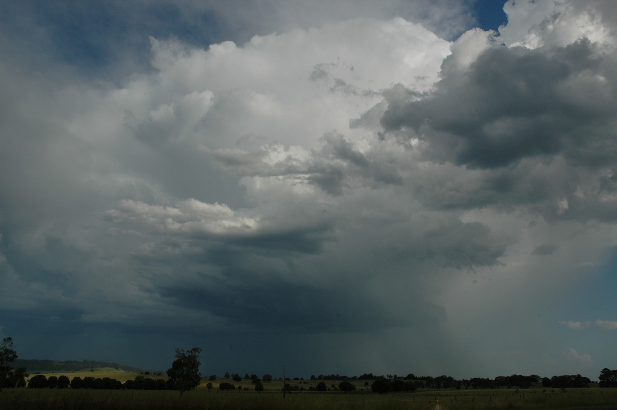 thunderstorm cumulonimbus_calvus : N of Casino, NSW   21 January 2005