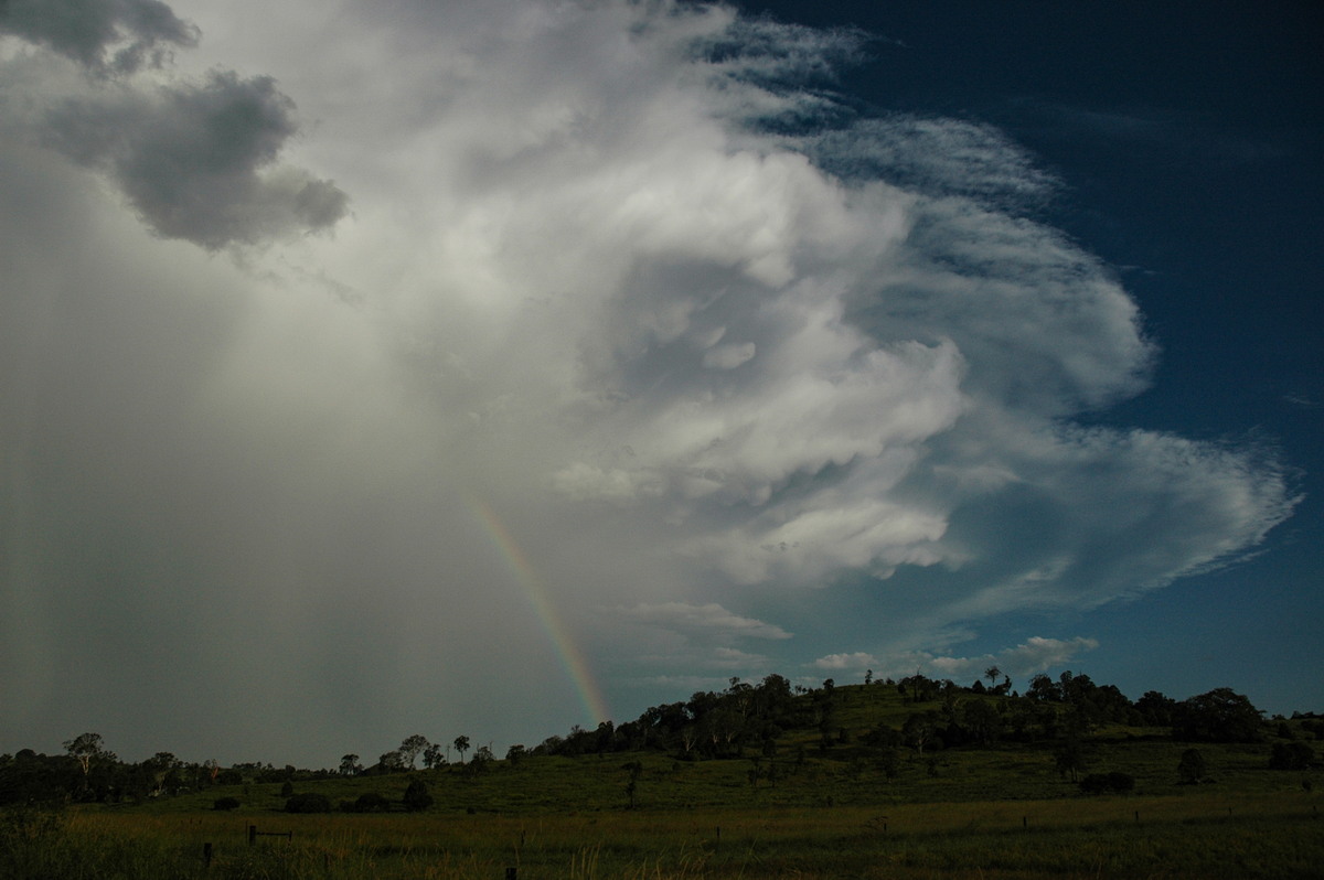 rainbow rainbow_pictures : Lismore, NSW   21 January 2005