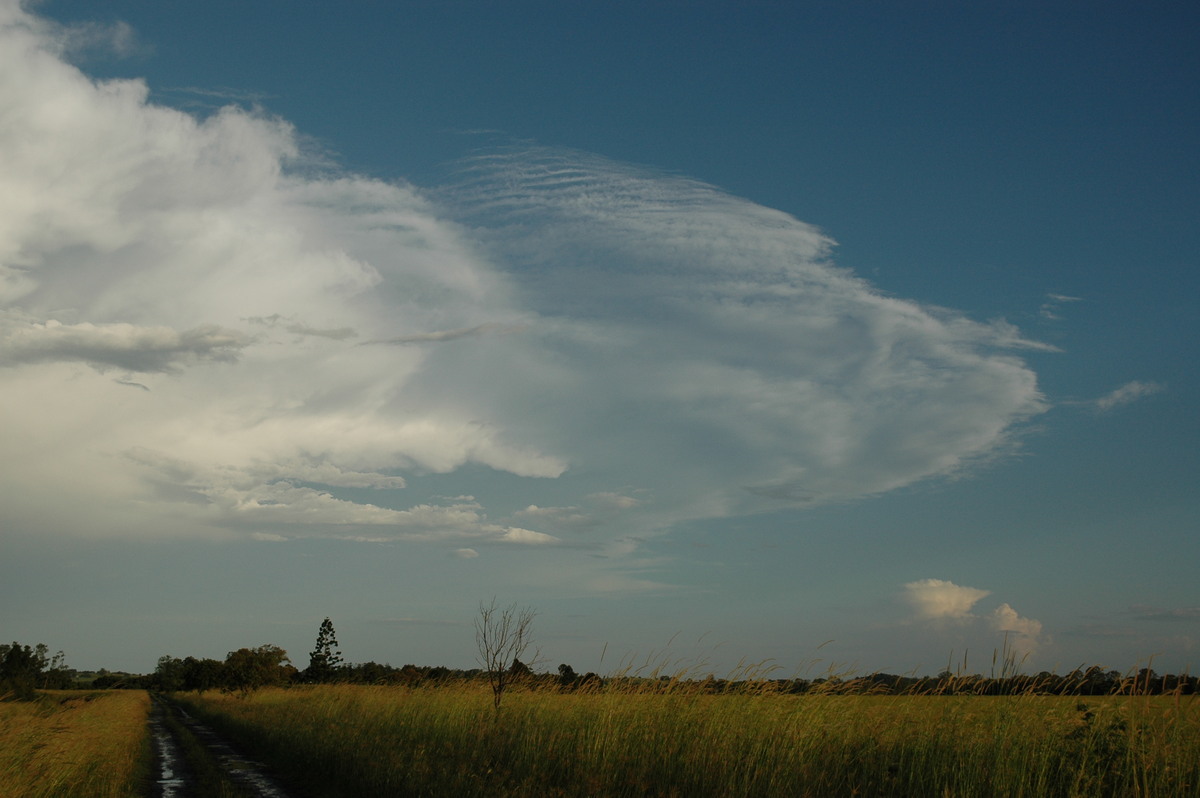 anvil thunderstorm_anvils : S of Lismore, NSW   21 January 2005