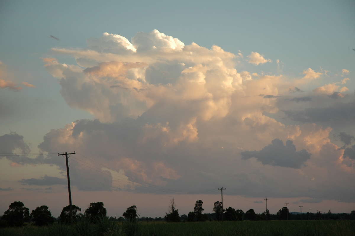 cumulus congestus : near Coraki, NSW   21 January 2005