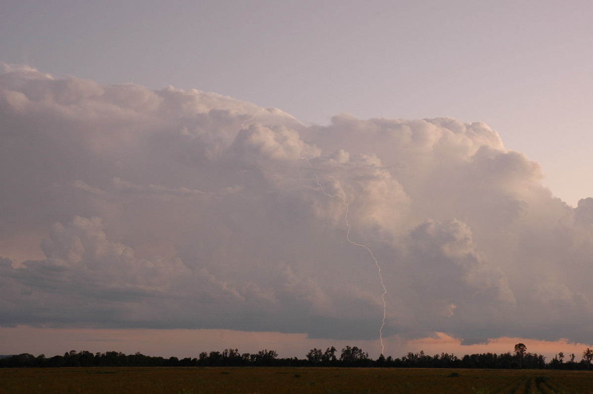 thunderstorm cumulonimbus_calvus : Coraki, NSW   21 January 2005