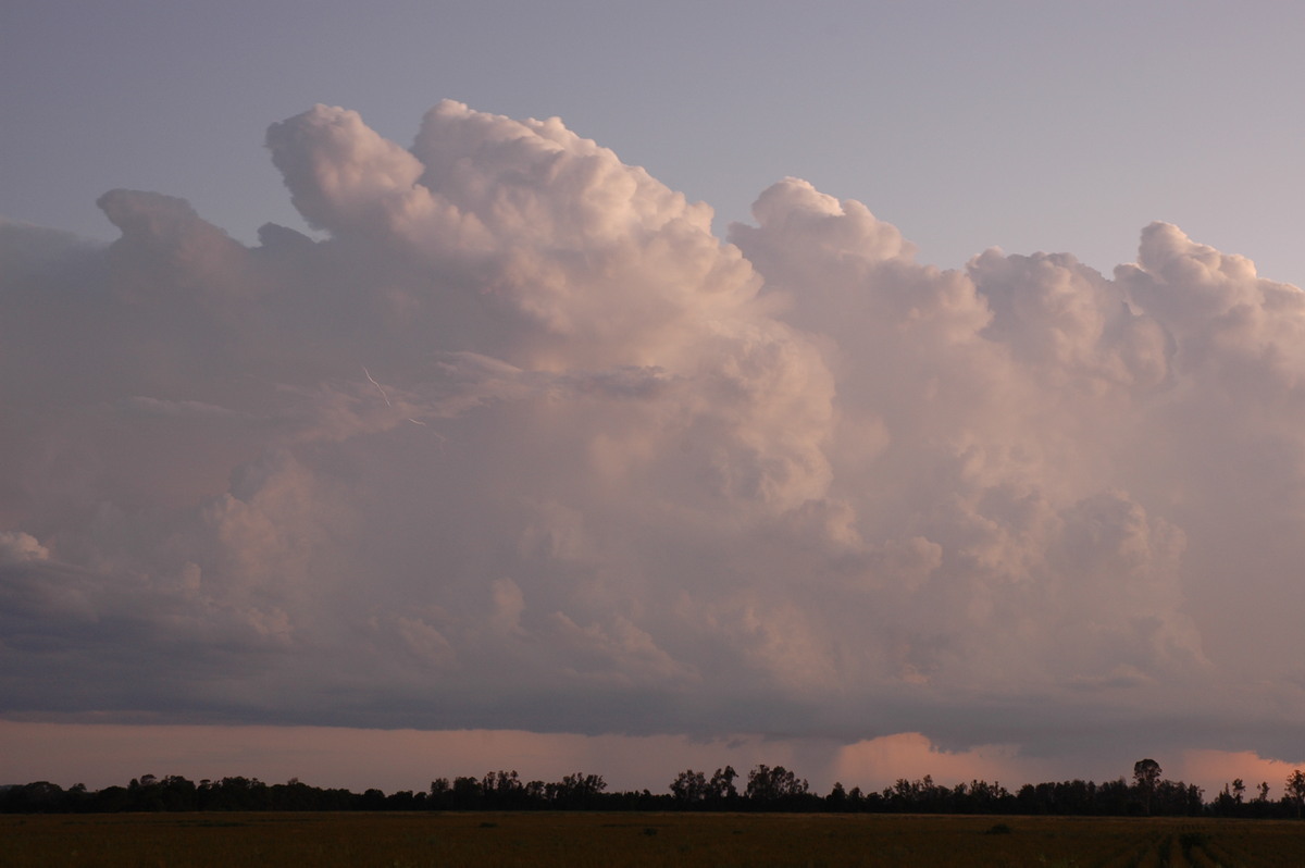 thunderstorm cumulonimbus_calvus : Coraki, NSW   21 January 2005