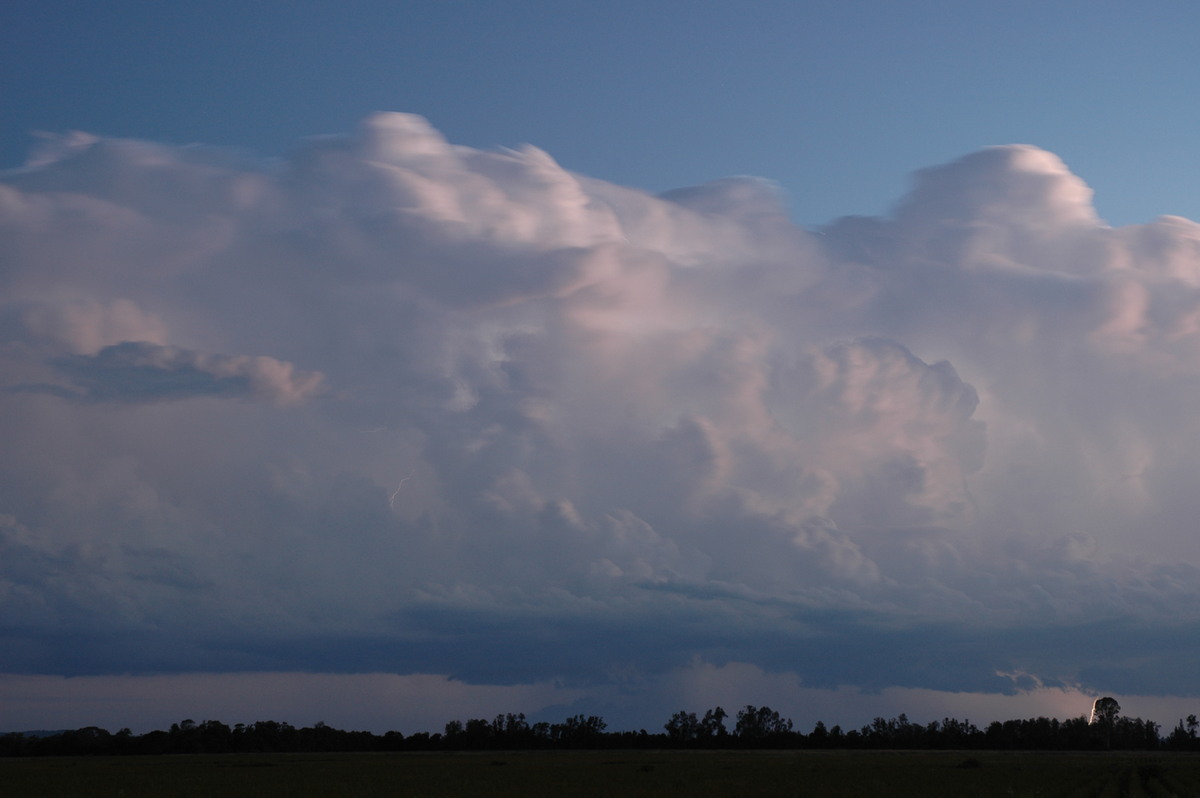 thunderstorm cumulonimbus_calvus : Coraki, NSW   21 January 2005