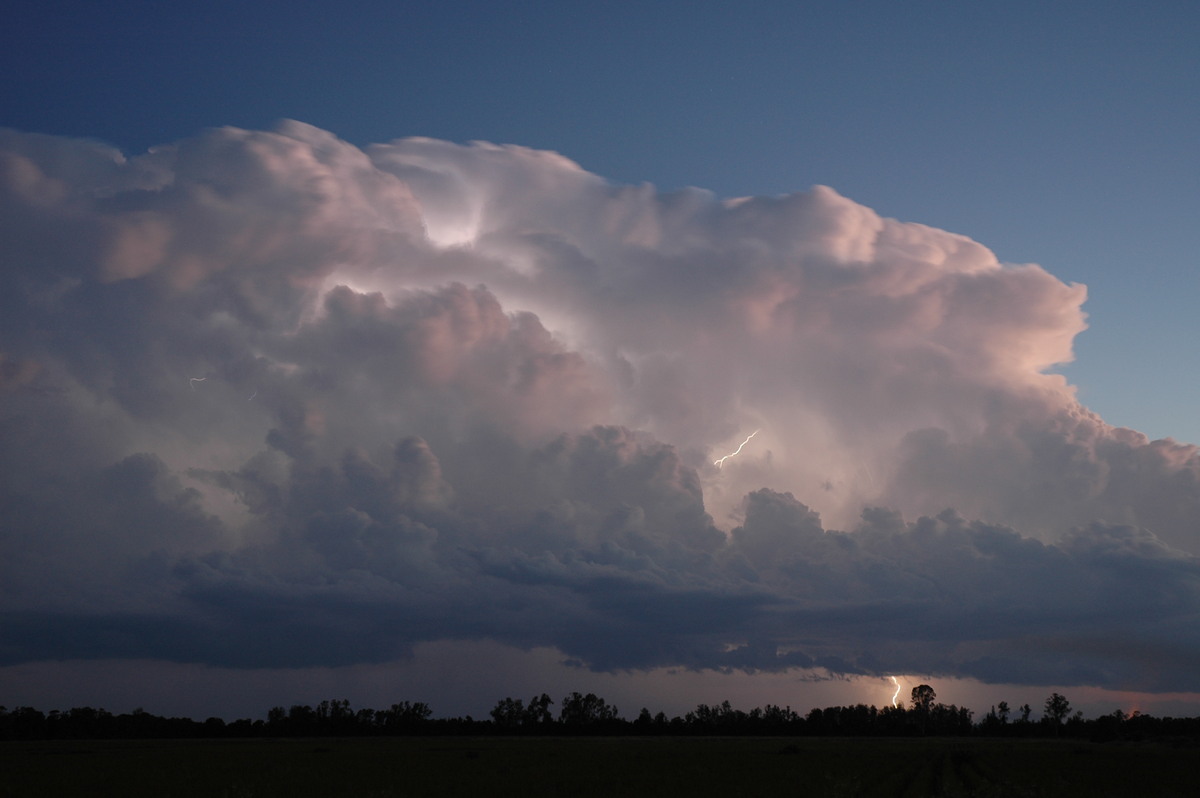 thunderstorm cumulonimbus_calvus : Coraki, NSW   21 January 2005