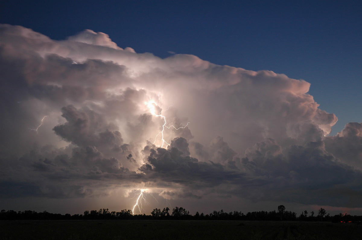 lightning lightning_bolts : Coraki, NSW   21 January 2005