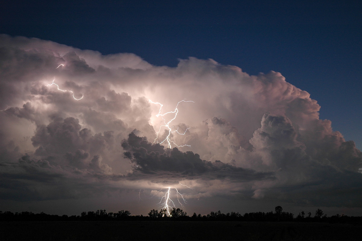 lightning lightning_bolts : Coraki, NSW   21 January 2005