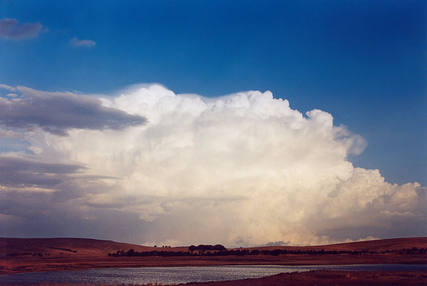 pileus pileus_cap_cloud : Crookwell, NSW   22 January 2005