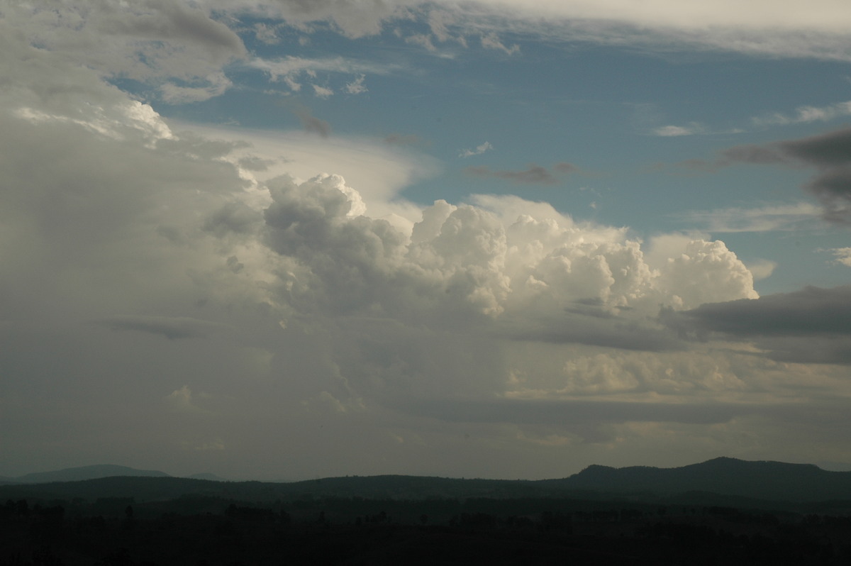 cumulus congestus : Mallanganee NSW   22 January 2005