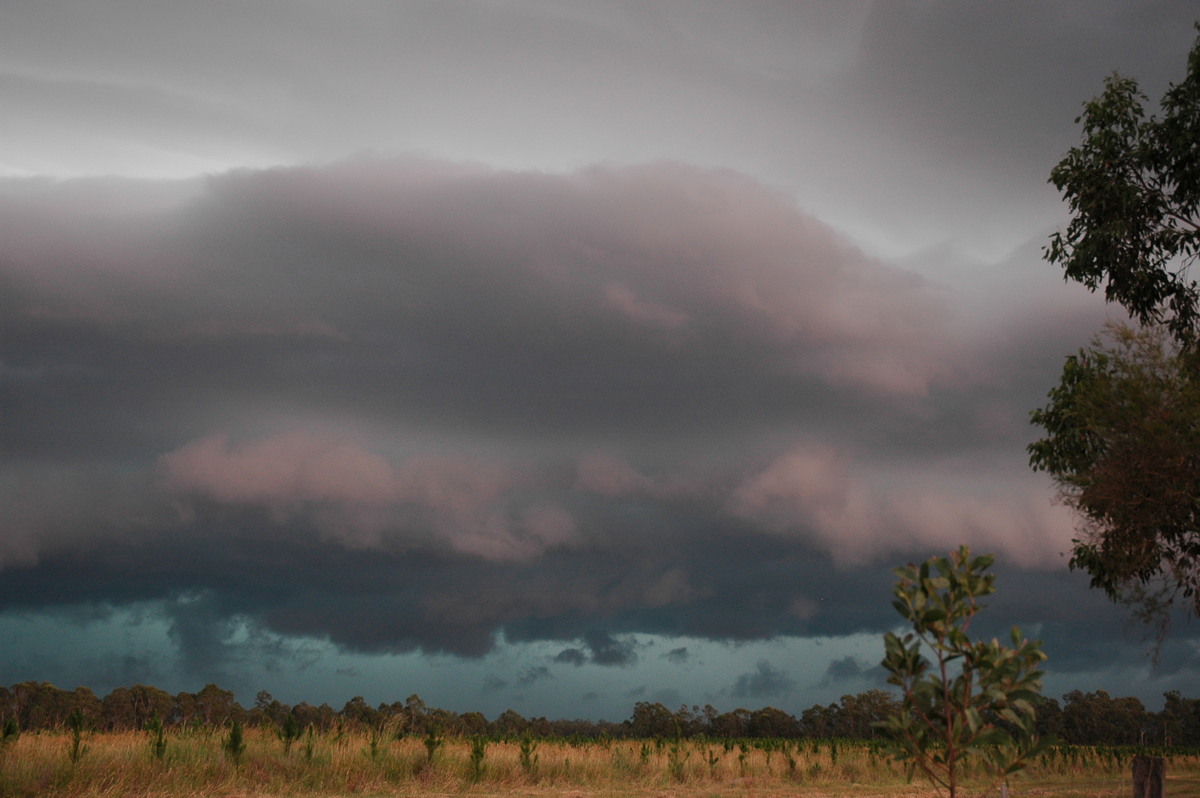 shelfcloud shelf_cloud : Rappville, NSW   22 January 2005