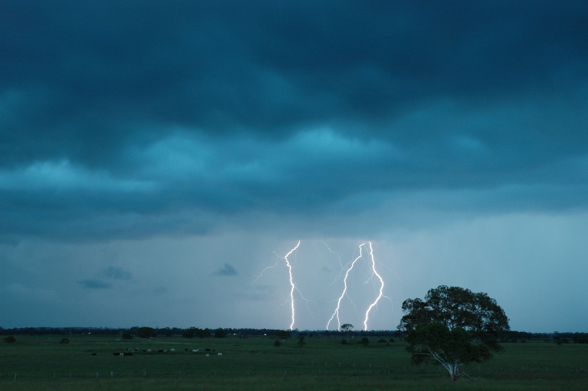 lightning lightning_bolts : McKees Hill, NSW   22 January 2005