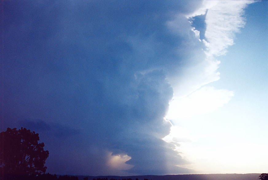 updraft thunderstorm_updrafts : Penrith, NSW   1 February 2005