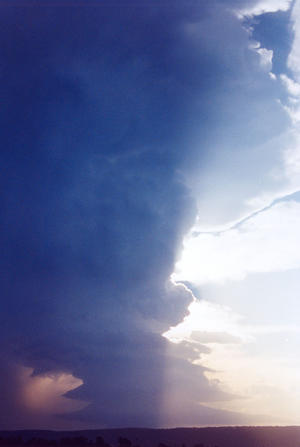 wallcloud thunderstorm_wall_cloud : Penrith, NSW   1 February 2005