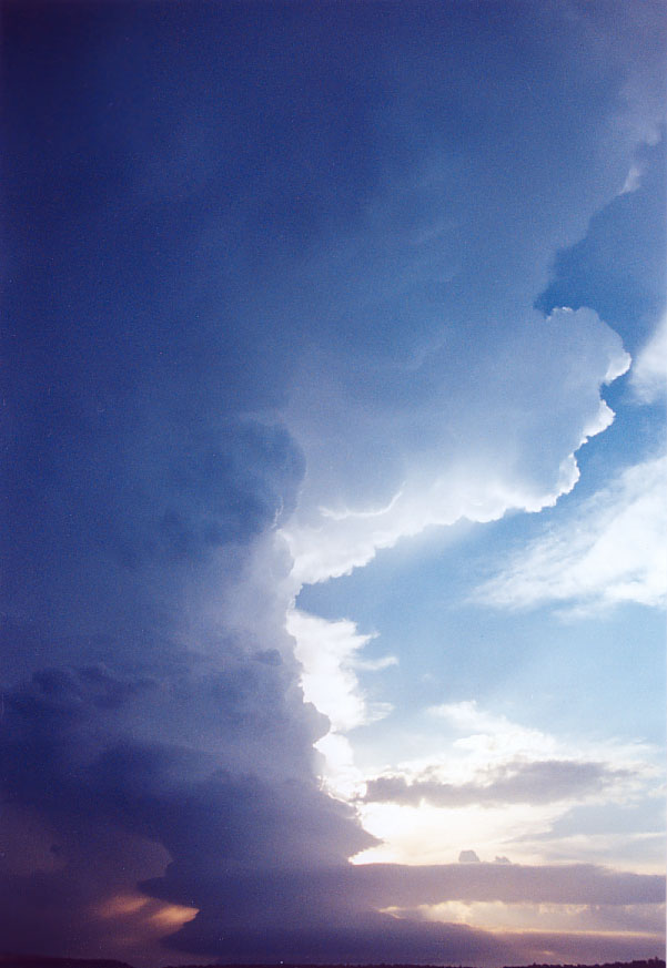 wallcloud thunderstorm_wall_cloud : Penrith, NSW   1 February 2005