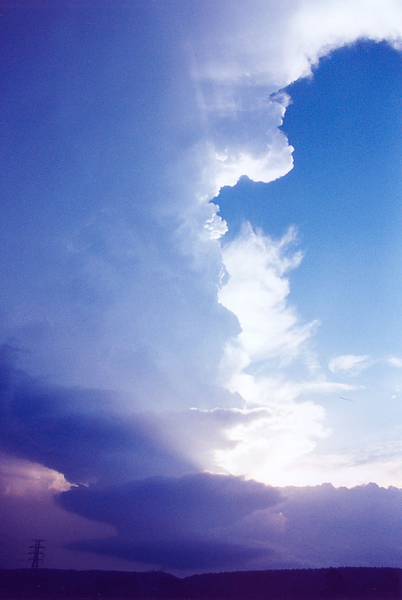 wallcloud thunderstorm_wall_cloud : Penrith, NSW   1 February 2005