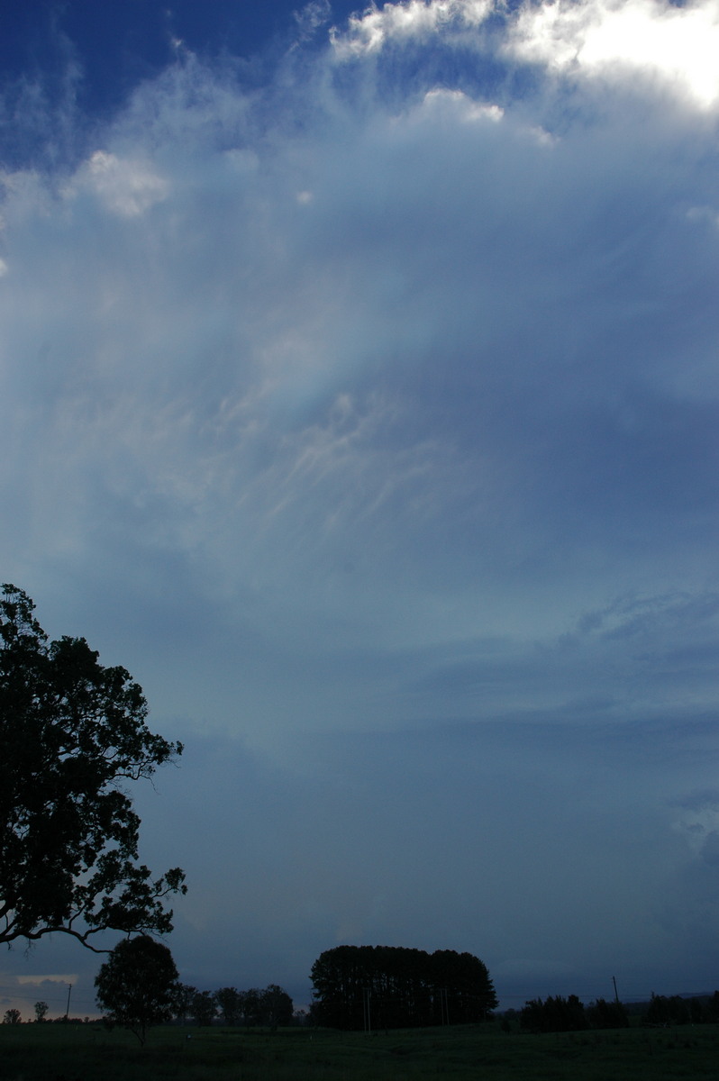 thunderstorm cumulonimbus_incus : Whiporie, NSW   2 February 2005