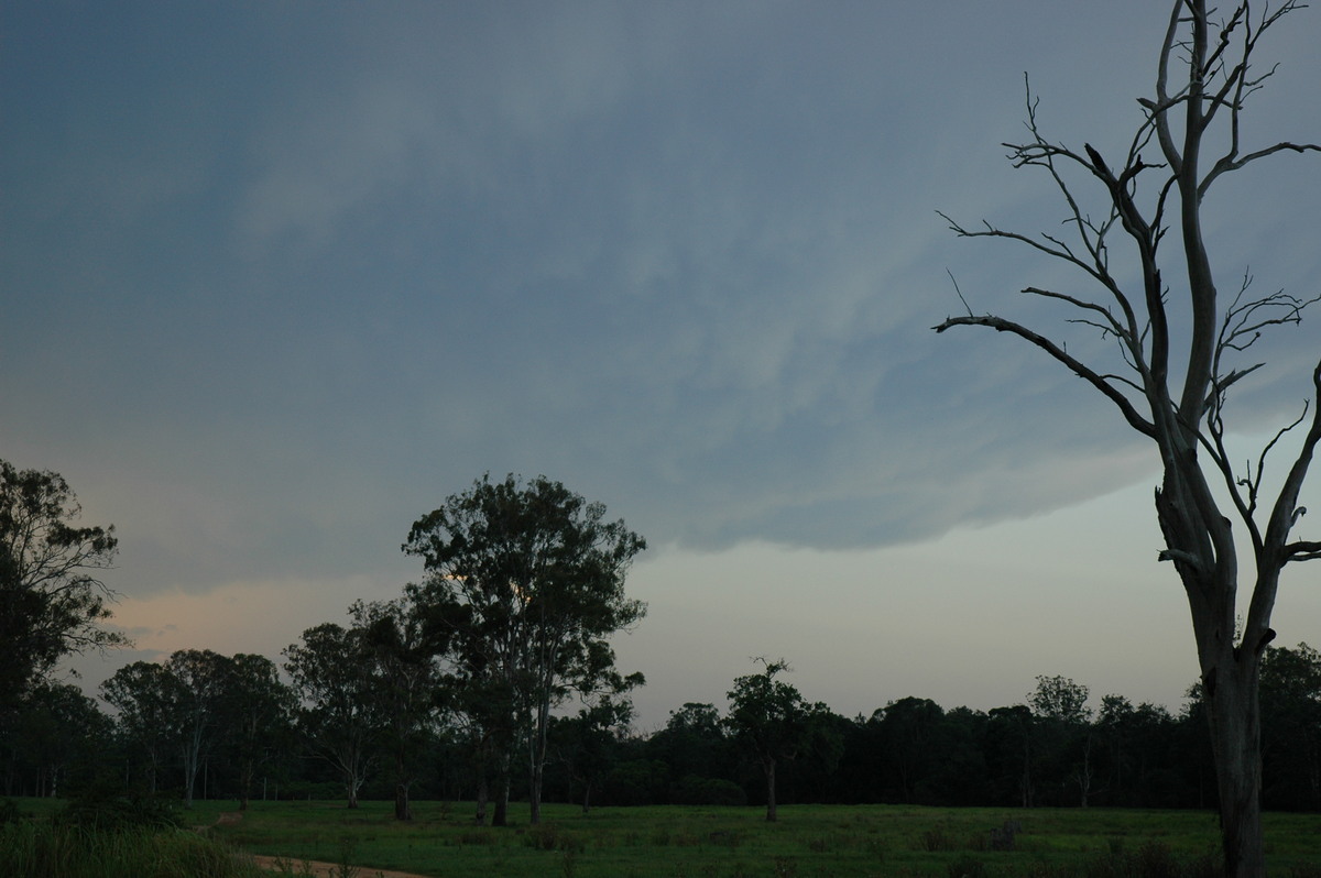 mammatus mammatus_cloud : Whiporie, NSW   2 February 2005