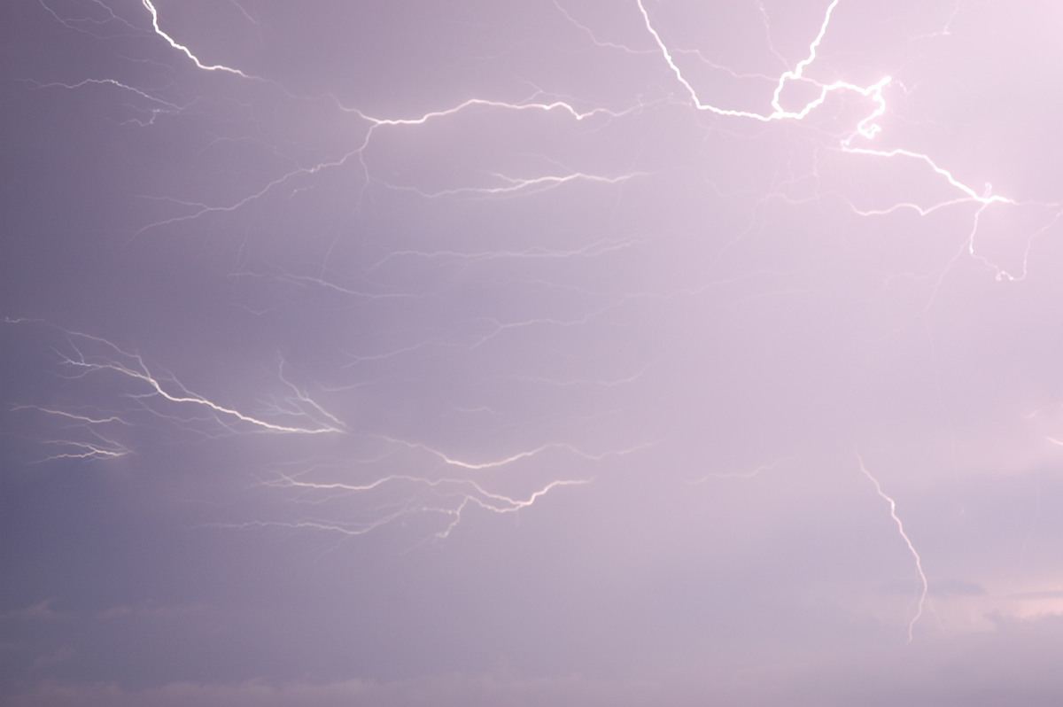 lightning lightning_bolts : McLeans Ridges, NSW   2 February 2005