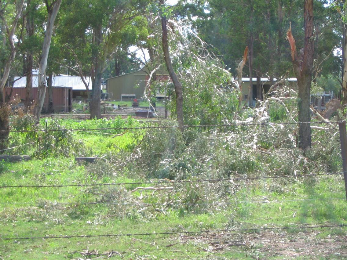 disasters storm_damage : Marsden Park, NSW   5 February 2005