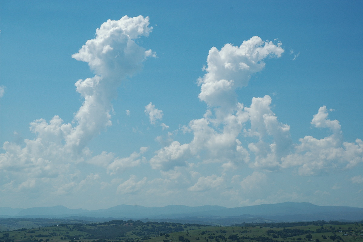 cumulus congestus : McLeans Ridges, NSW   8 February 2005