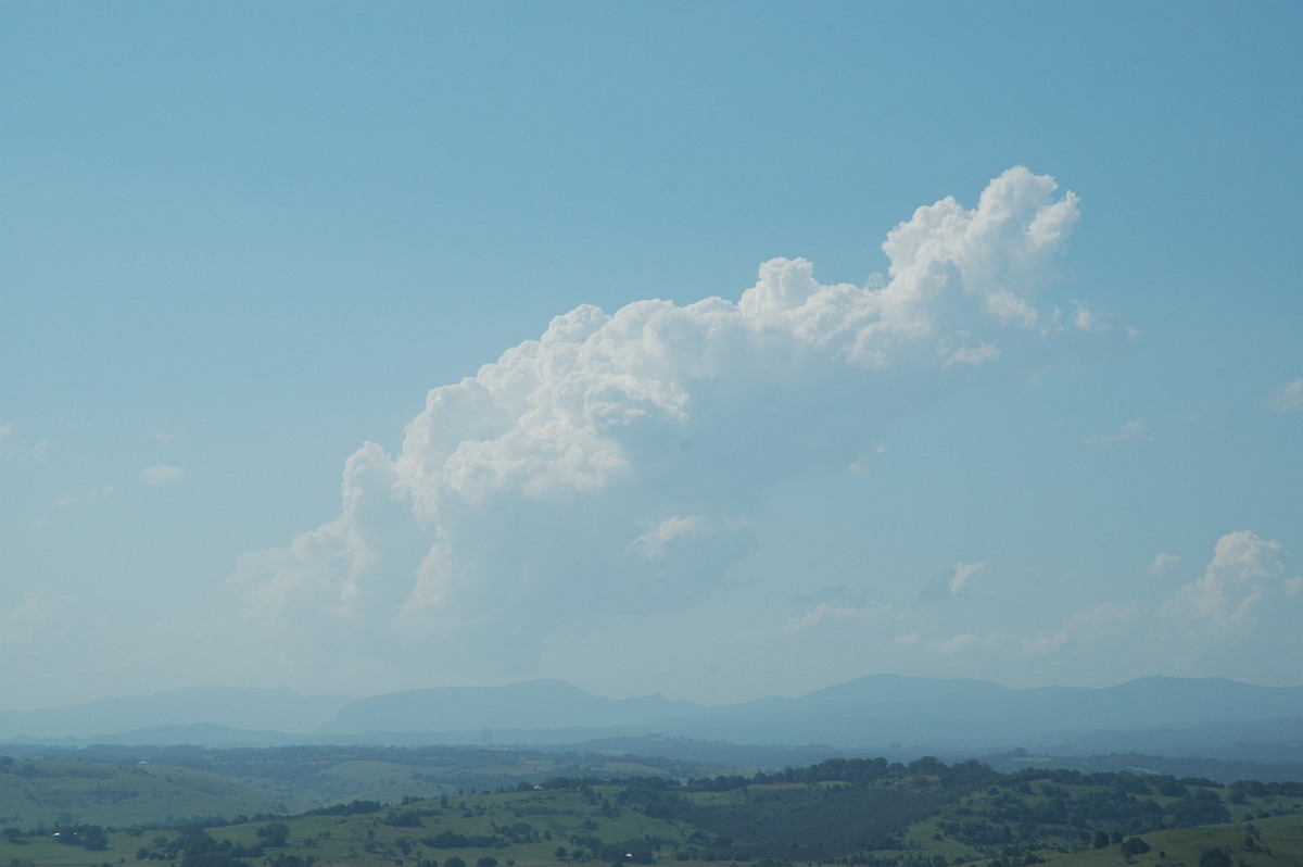 cumulus congestus : McLeans Ridges, NSW   8 February 2005