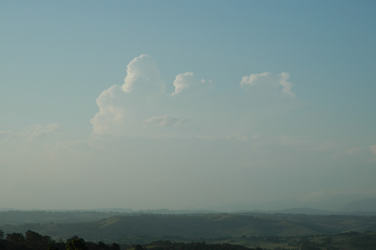 cumulus congestus : McLeans Ridges, NSW   8 February 2005