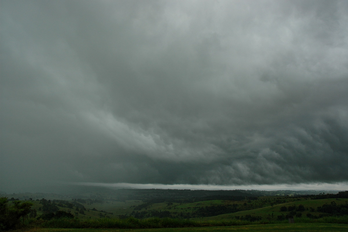 cumulonimbus thunderstorm_base : McLeans Ridges, NSW   10 February 2005