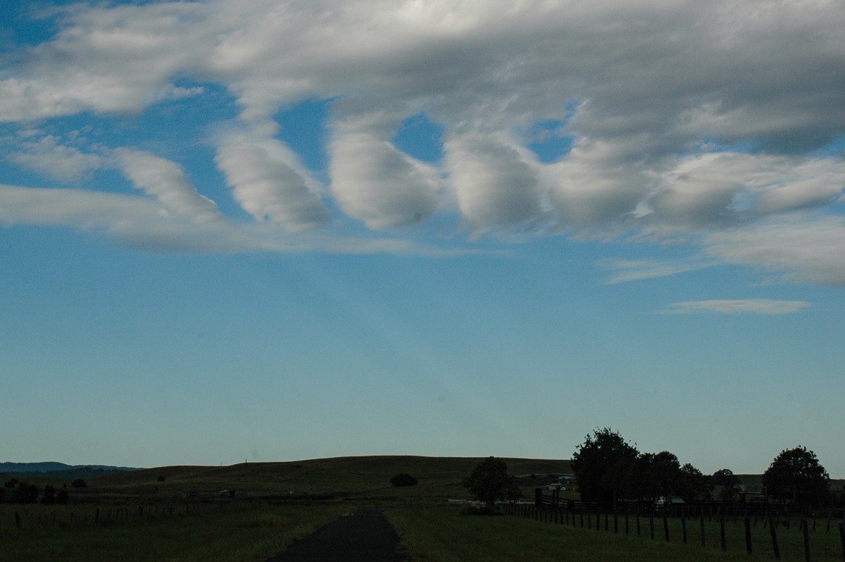 altocumulus undulatus : McLeans Ridges, NSW   16 February 2005