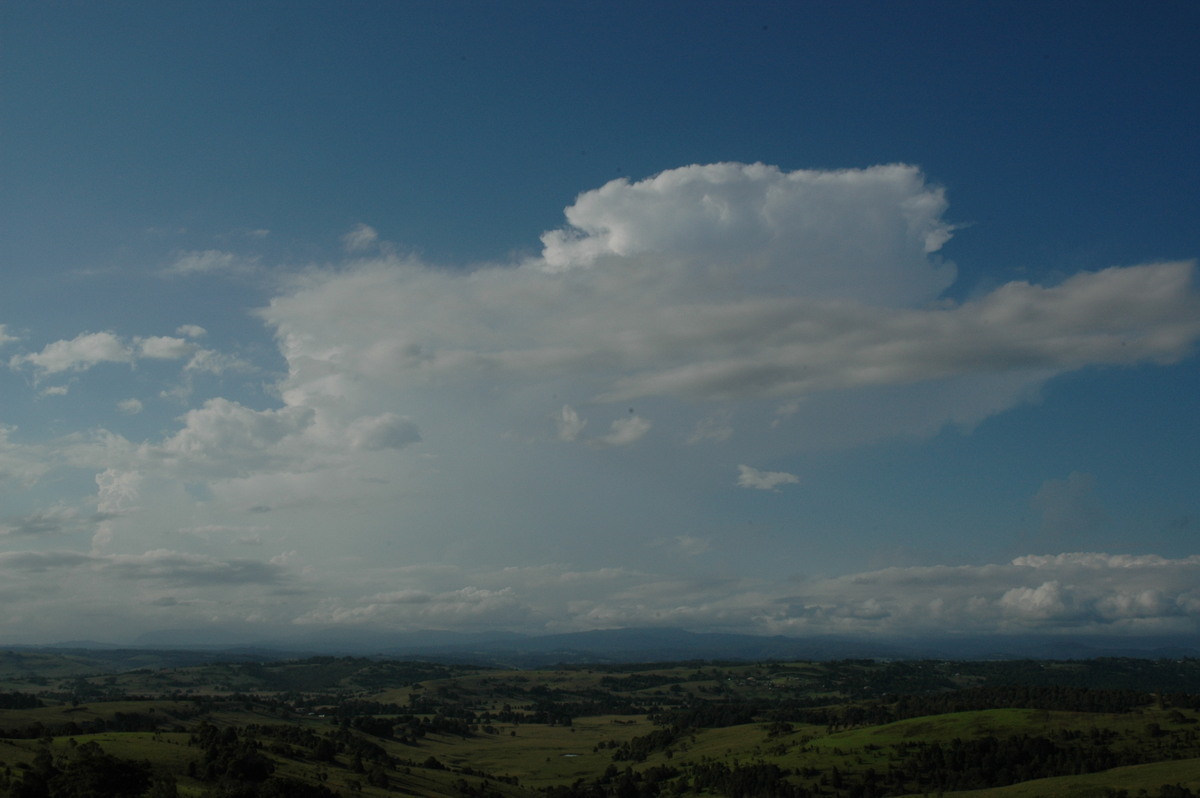 thunderstorm cumulonimbus_incus : McLeans Ridges, NSW   17 February 2005