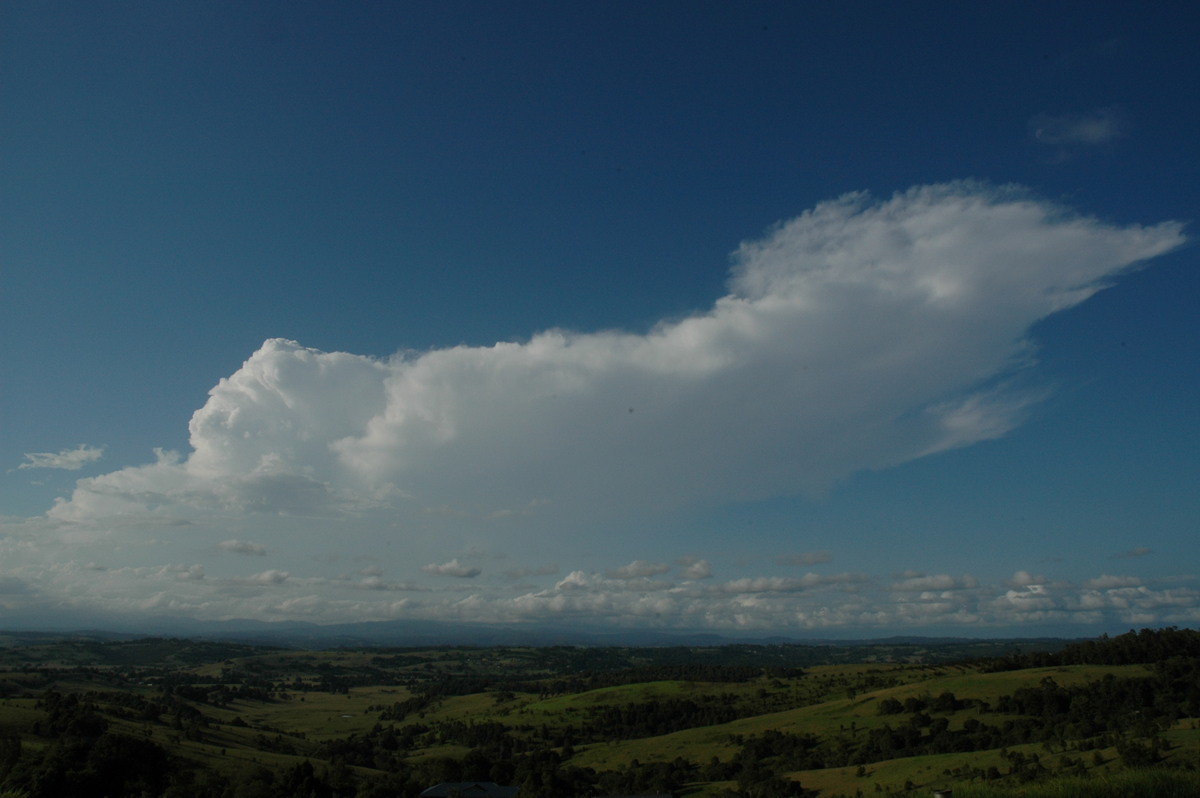 thunderstorm cumulonimbus_incus : McLeans Ridges, NSW   17 February 2005