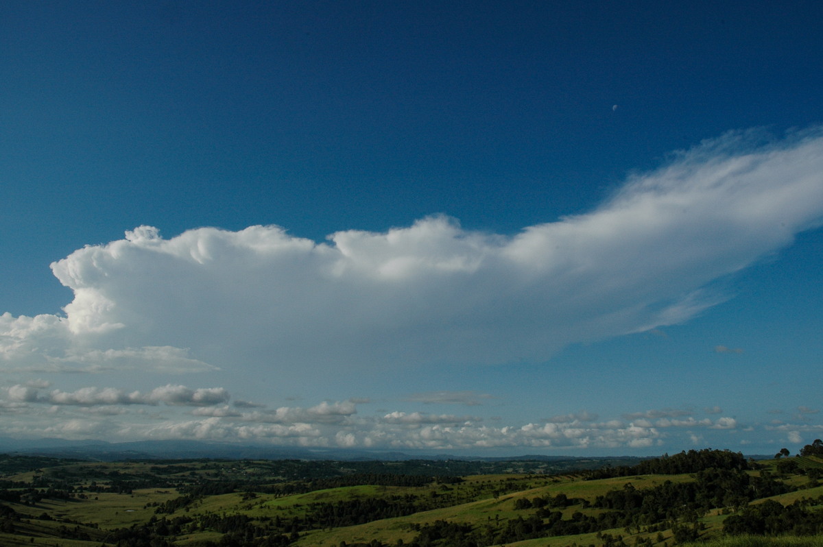 thunderstorm cumulonimbus_incus : McLeans Ridges, NSW   17 February 2005