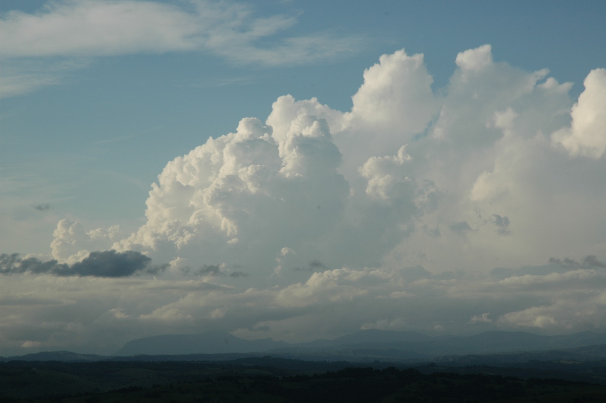 thunderstorm cumulonimbus_calvus : McLeans Ridges, NSW   17 February 2005