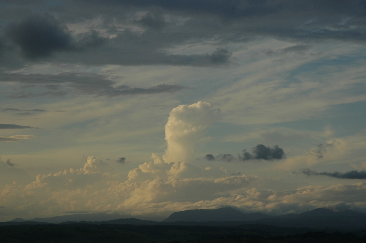 cumulus congestus : McLeans Ridges, NSW   17 February 2005