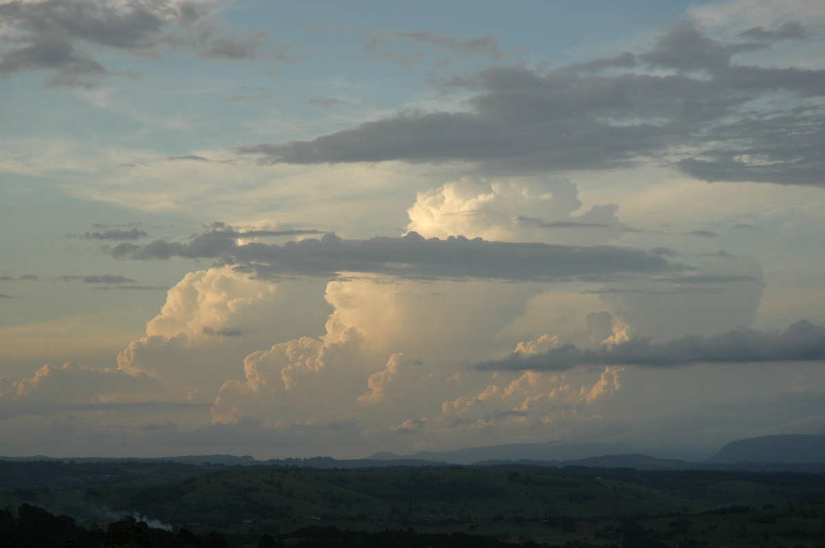 thunderstorm cumulonimbus_calvus : McLeans Ridges, NSW   17 February 2005