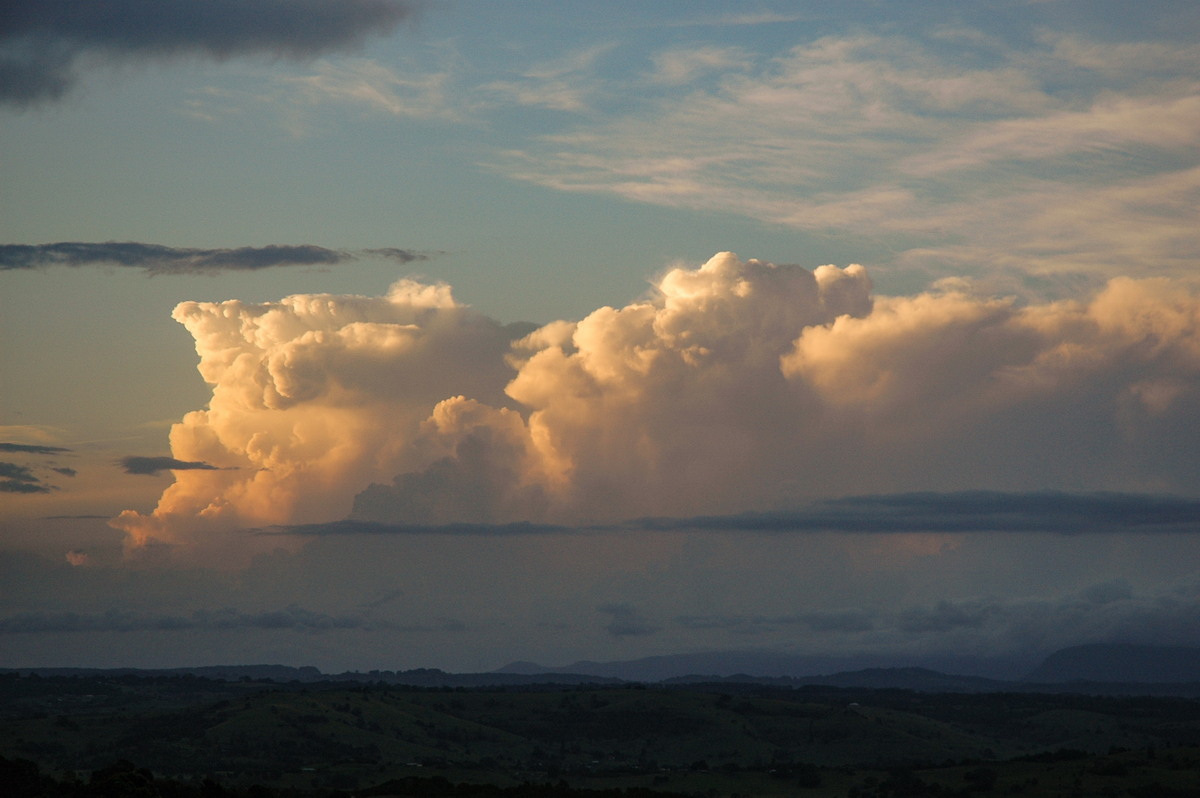 thunderstorm cumulonimbus_calvus : McLeans Ridges, NSW   17 February 2005