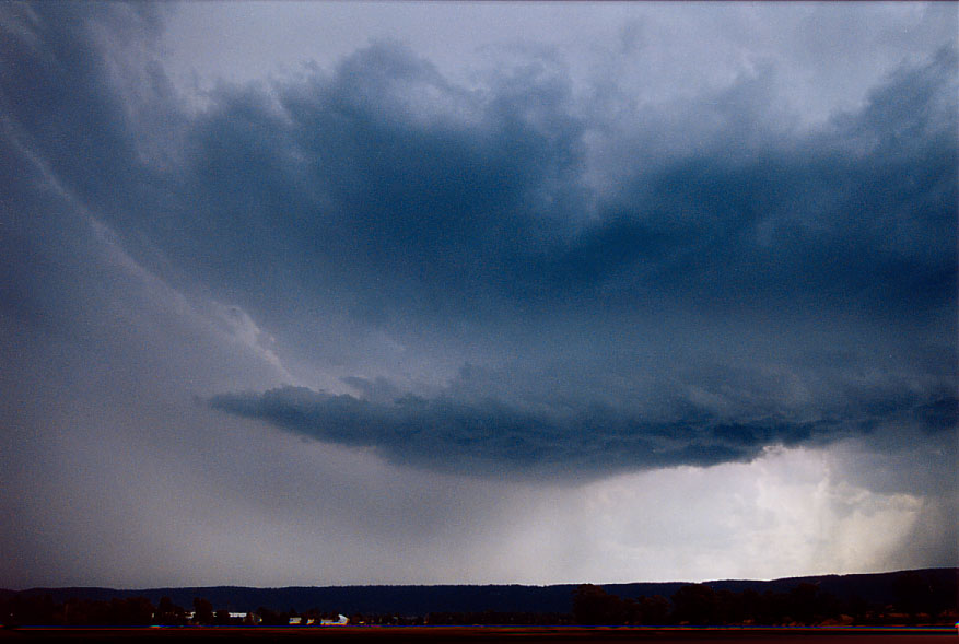 cumulonimbus thunderstorm_base : Castlereagh, NSW   19 February 2005