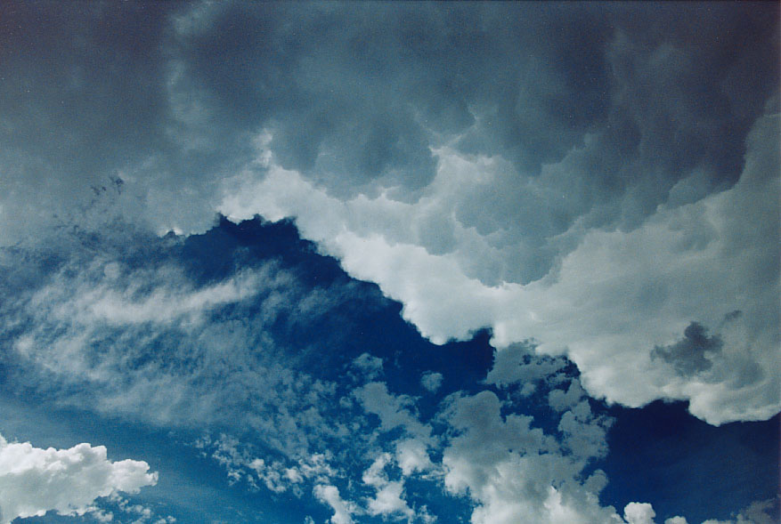 mammatus mammatus_cloud : Castlereagh, NSW   19 February 2005