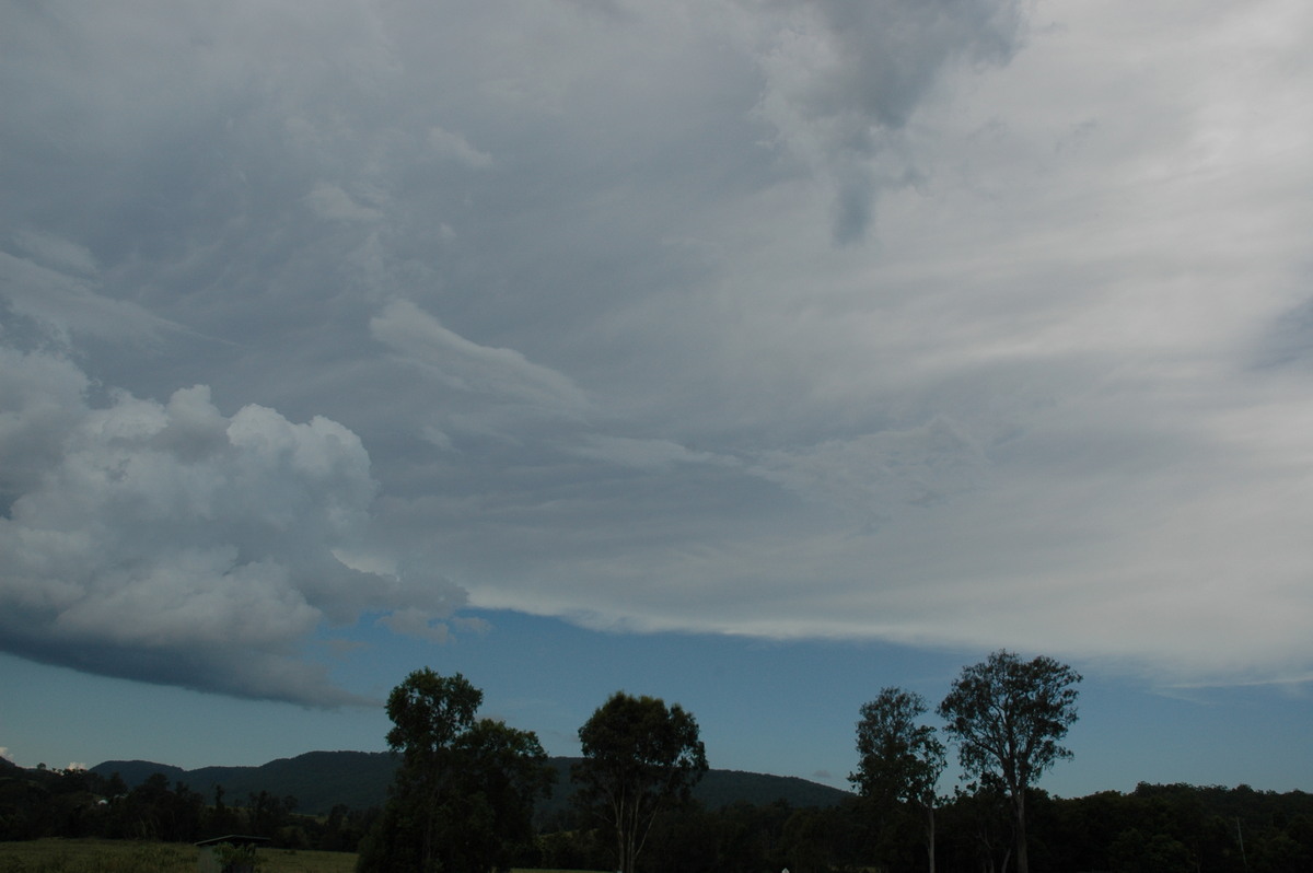 anvil thunderstorm_anvils : McLeans Ridges, NSW   22 February 2005