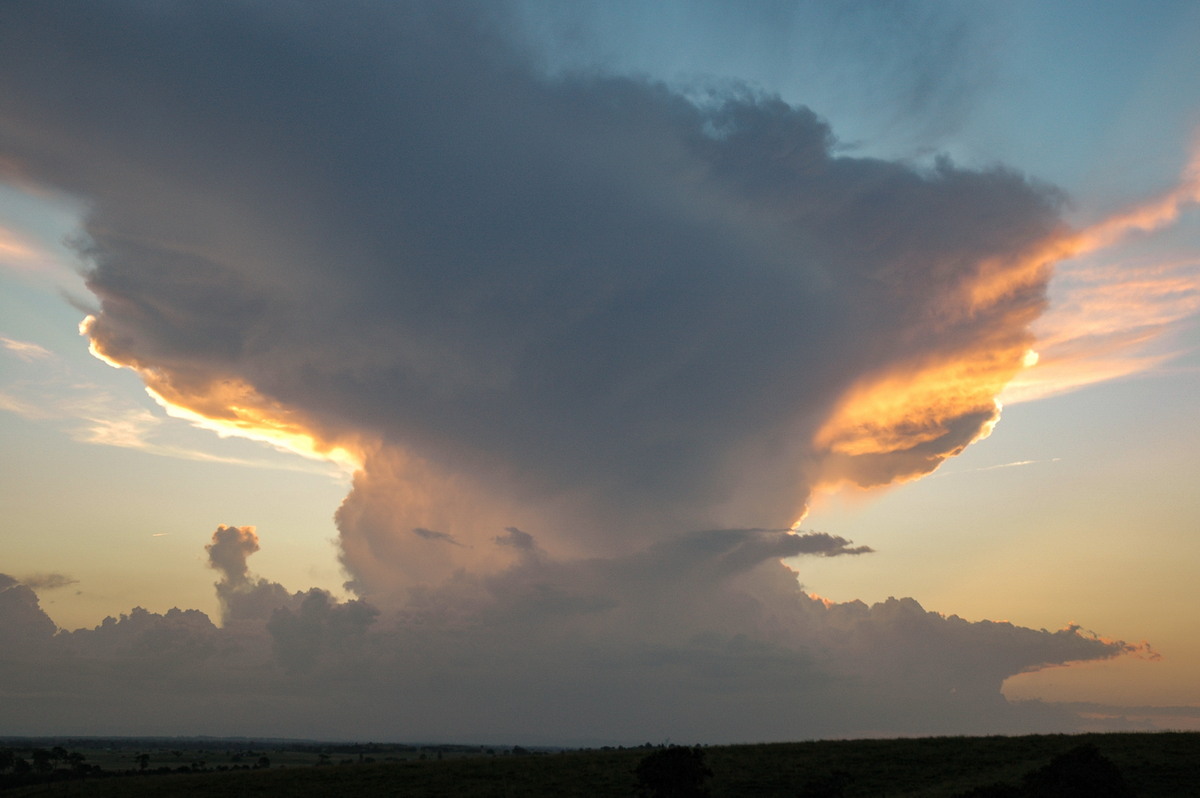 anvil thunderstorm_anvils : Parrots Nest, NSW   22 February 2005