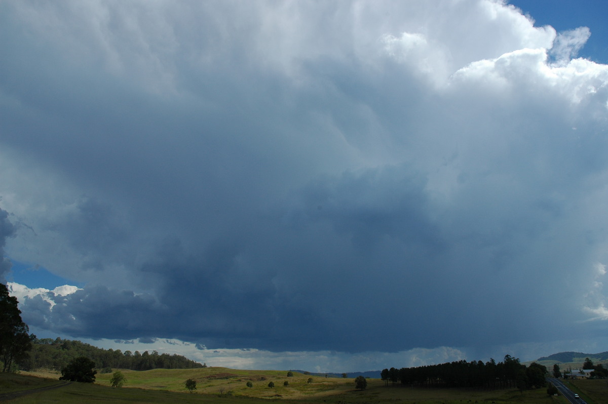 cumulonimbus thunderstorm_base : Mummulgum, NSW   10 March 2005