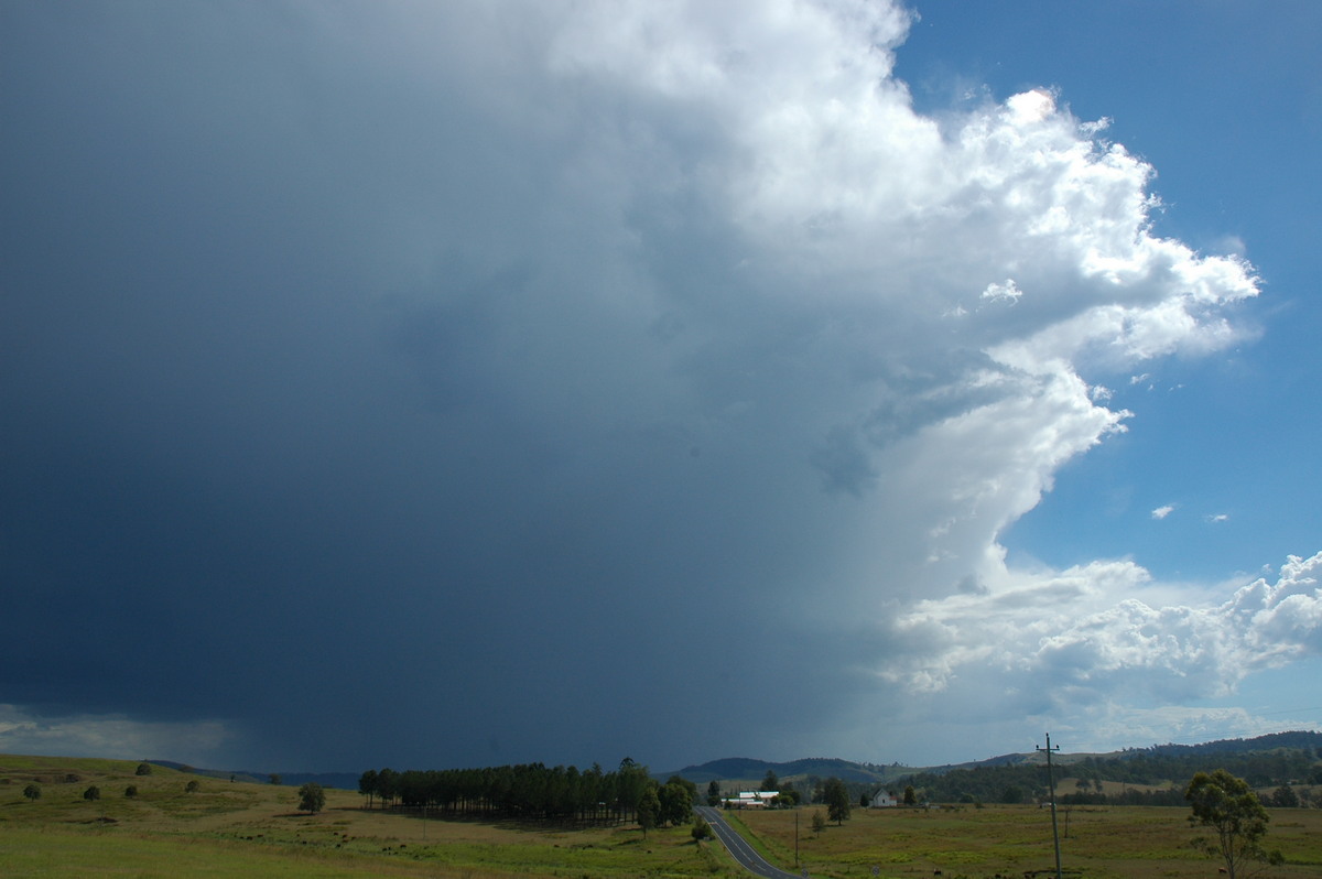 thunderstorm cumulonimbus_incus : Mummulgum, NSW   10 March 2005