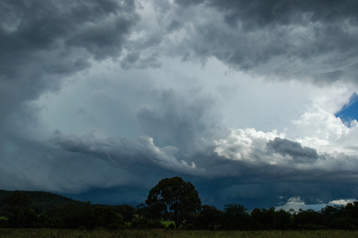 cumulonimbus thunderstorm_base : near Tabulam, NSW   10 March 2005